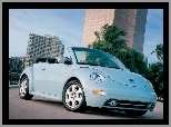 Volkswagen New Beetle